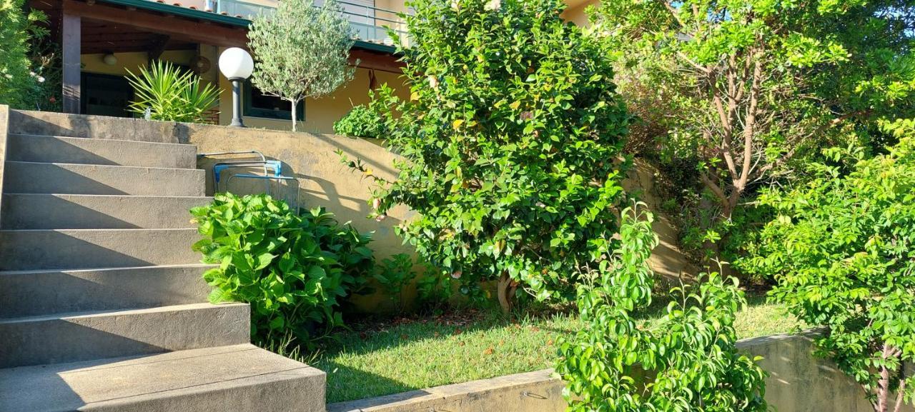Rio Mau  Dream House By Douro Valley מראה חיצוני תמונה